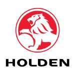 Holden servicing